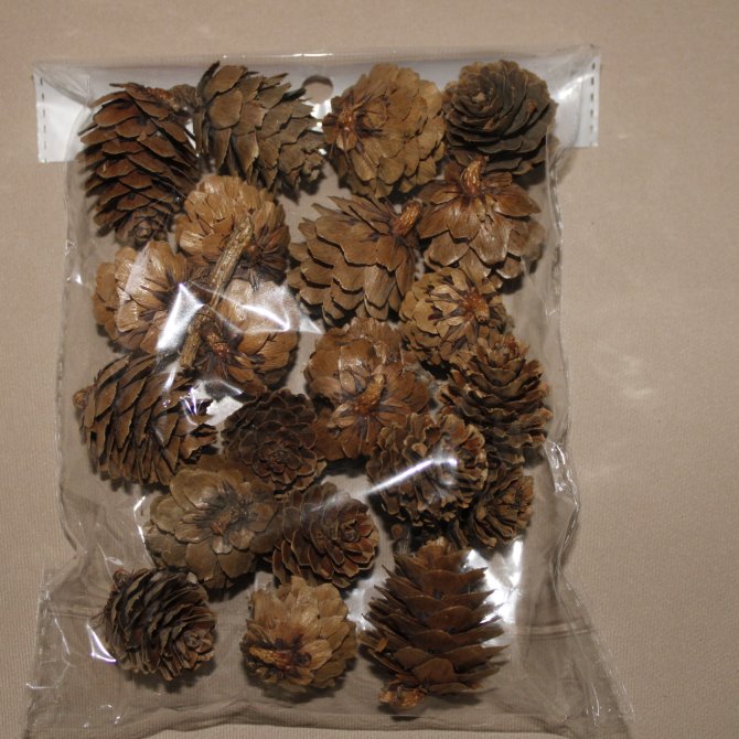 Conuri Brad Natural  3 Cm 2