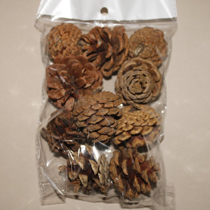 Conuri Brad Natural  5 Cm