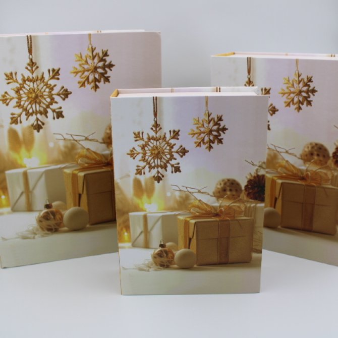 SET 3 CUTII CARTE 1