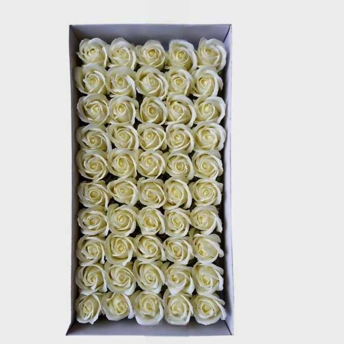 Set 50 Trandafiri Sapun Parfumati, Atingere Reala,Ivory Calitate Premium