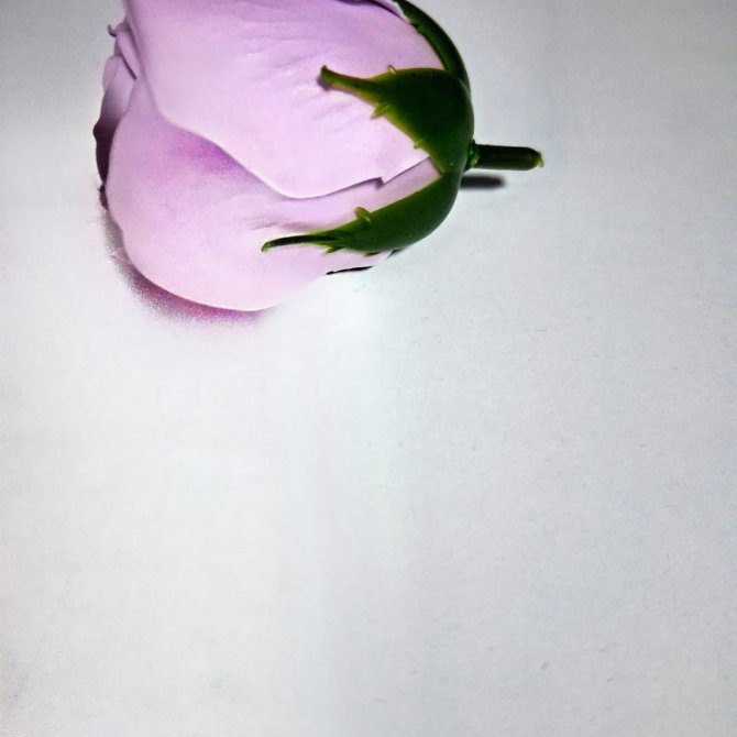 Set 50 trandafiri sapun parfumati, atingere reala,lila, calitate premium 3